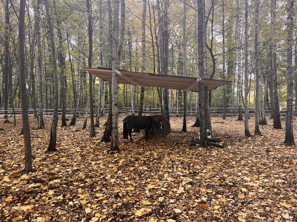 Großzügiger Offenstall im Wald mit überdachter Futterstelle