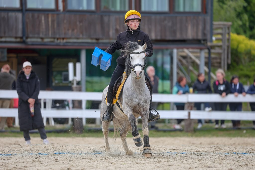Mounted Games Team mit ausgebildeten Reitsportponys