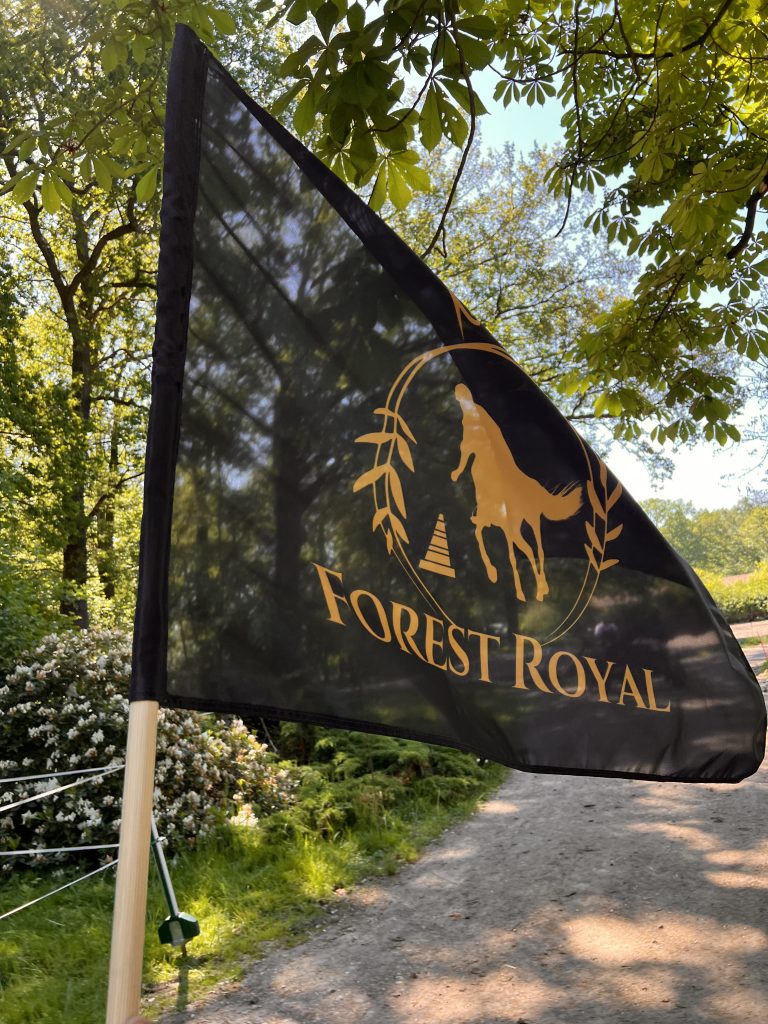 Forest Royal Fahne des Mounted Games Teams Waldsteinberg