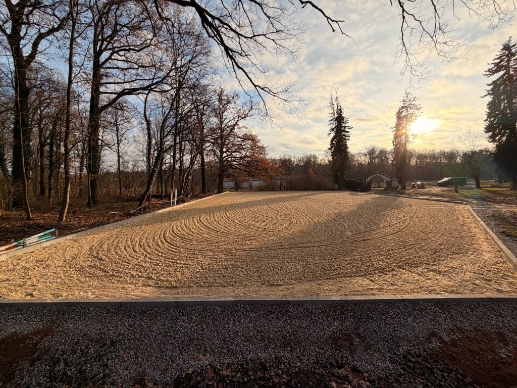Beleuchtete Bäume und Reitfläche auf dem Waldgut Waldsteinberg